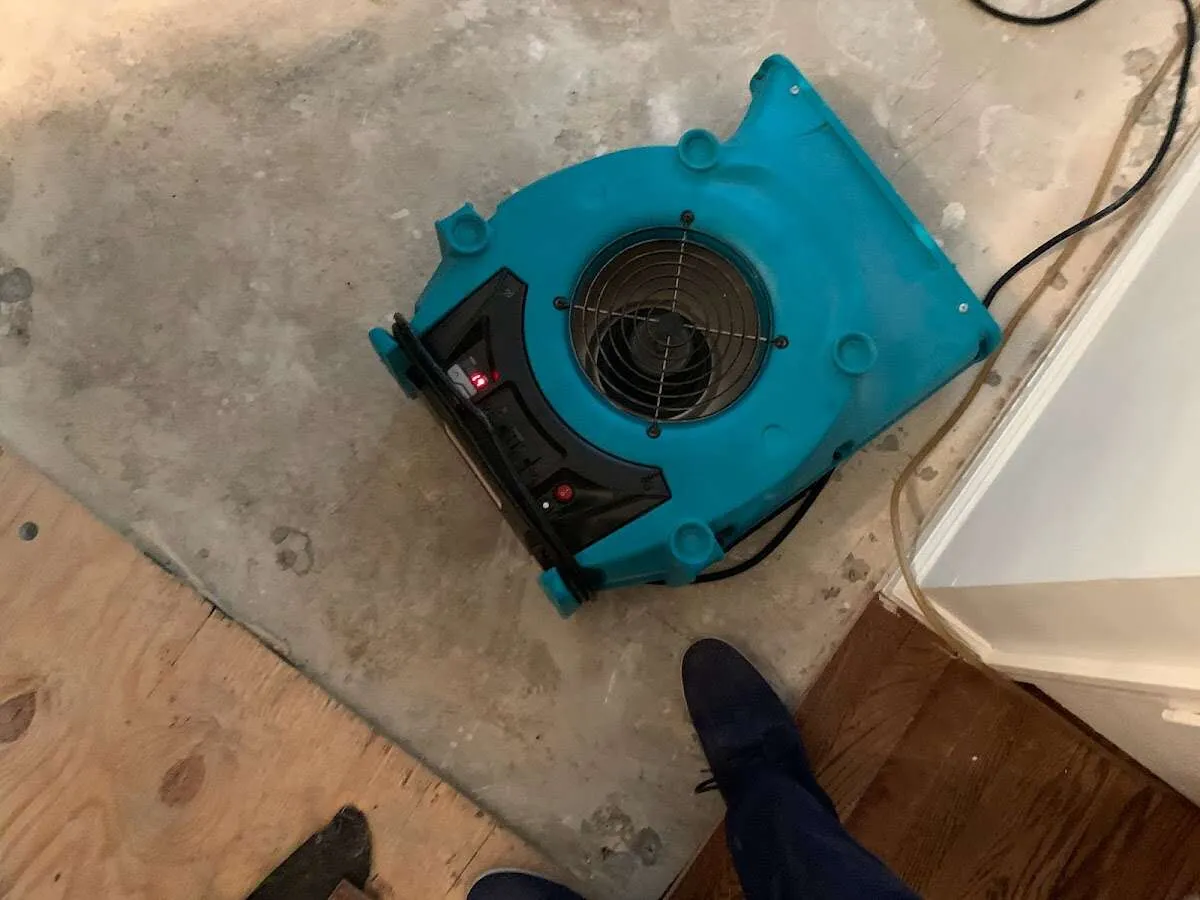 Air mover drying subfloor during Leak Detection & Repair in Longswamp